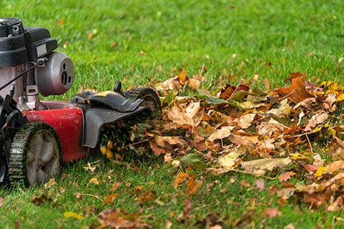 5 Smart Steps for Preparing Your Yard For Winter - Blog